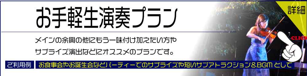 新お手軽生演奏プラン