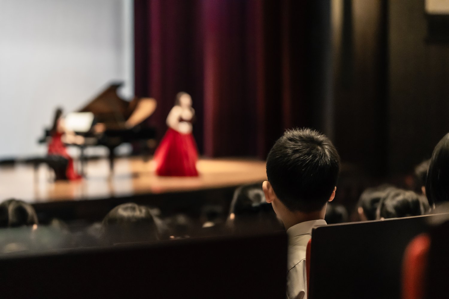 小学校芸術鑑賞会オペラを講堂コンサートの写真